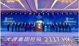 大唐集团爆料新闻最新情况,揭秘企业变革与发展动态