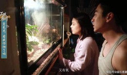 楠楠野战在线观看,热血激战，青春无悔的战场传奇